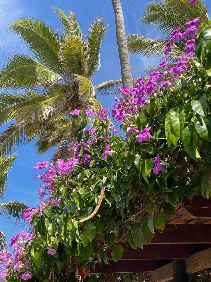 Aruba Sunset Beach Studios Palm Beach Exterior foto